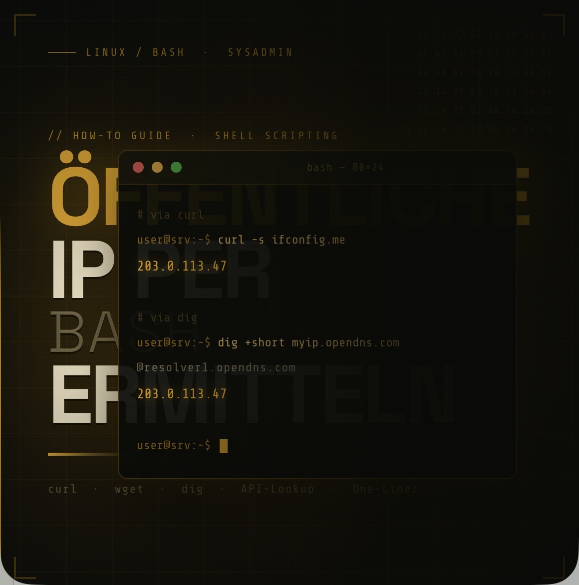 Öffentliche IP per BASH ermitteln